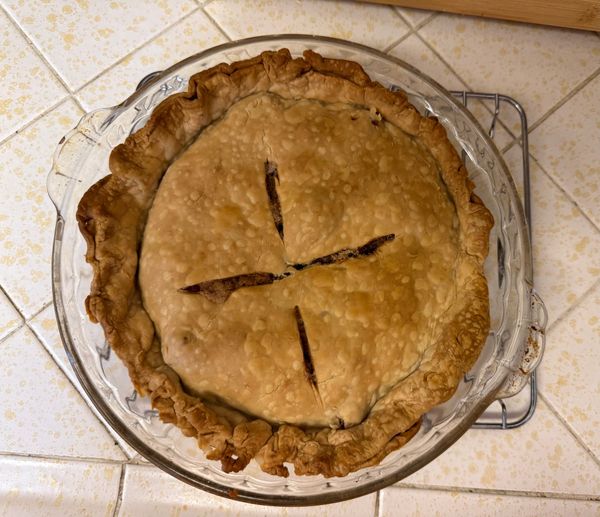 A whole rhubarb pie in a glass pie plate cooling on the kitchen counter.