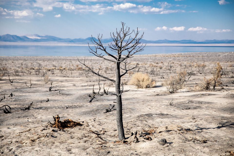 Analysis: The 6th Assessment Report of the Intergovernmental Panel on Climate Change