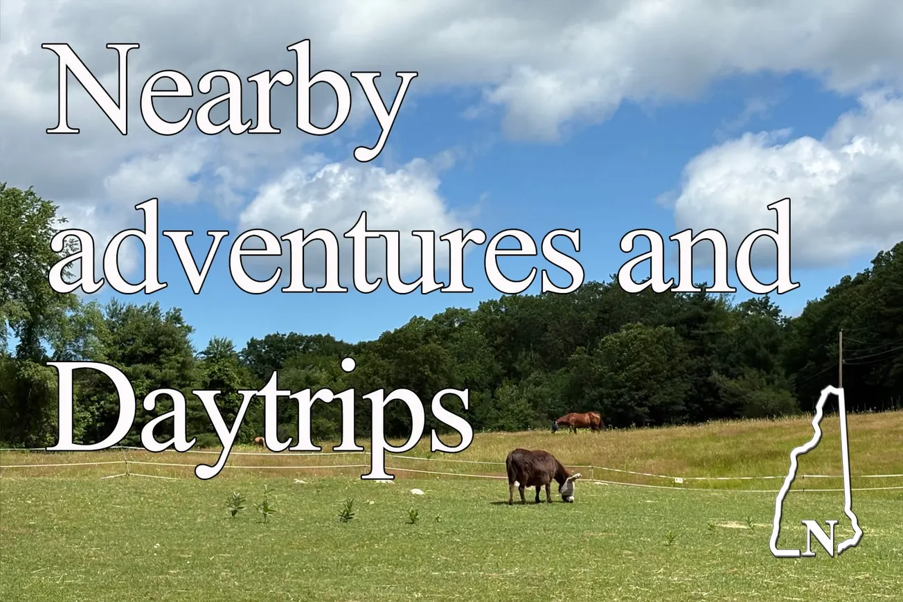 From Cows to Climbing Rocks: A Guide to Joppa Hill Farm in Bedford