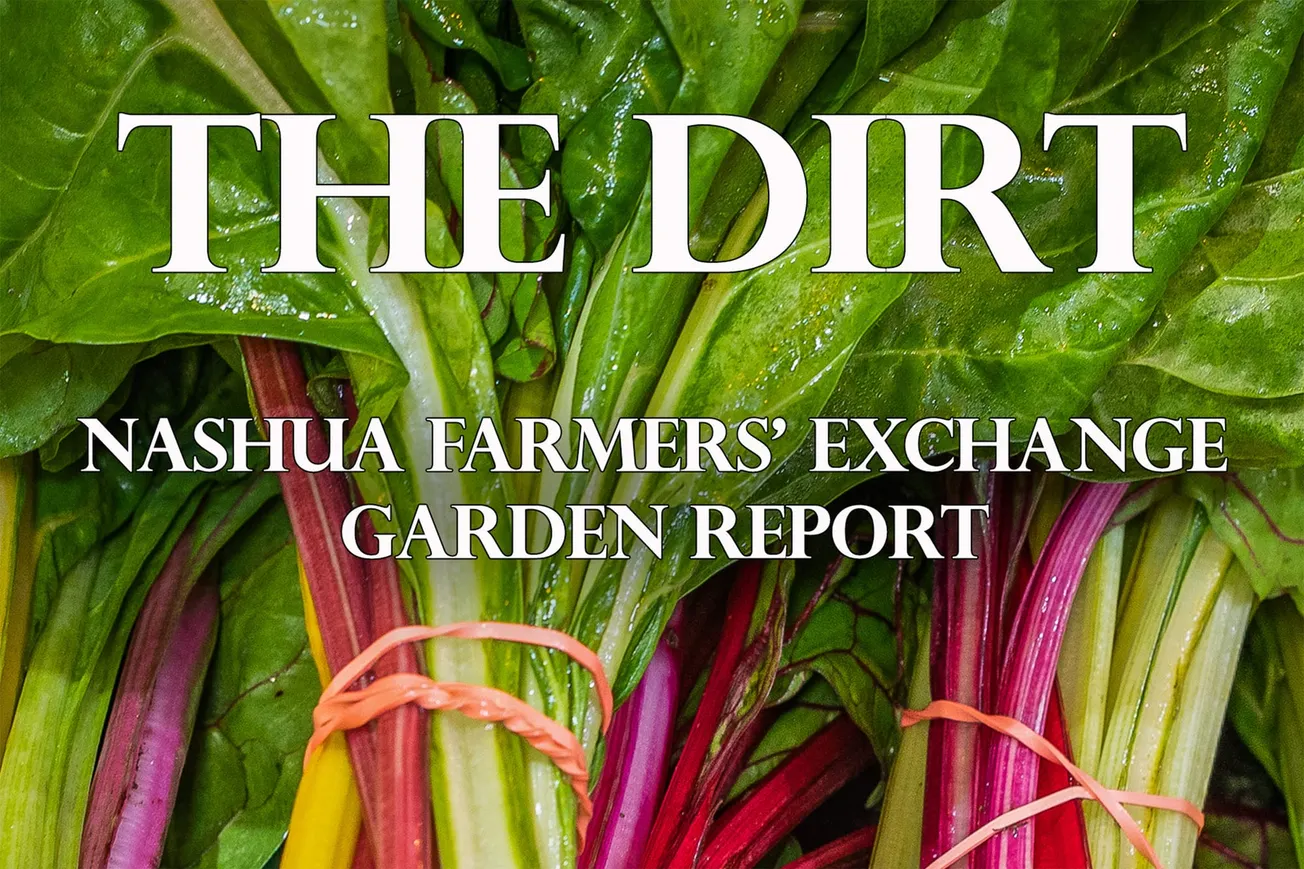 Hoofing It through Mid-July garden maintenance