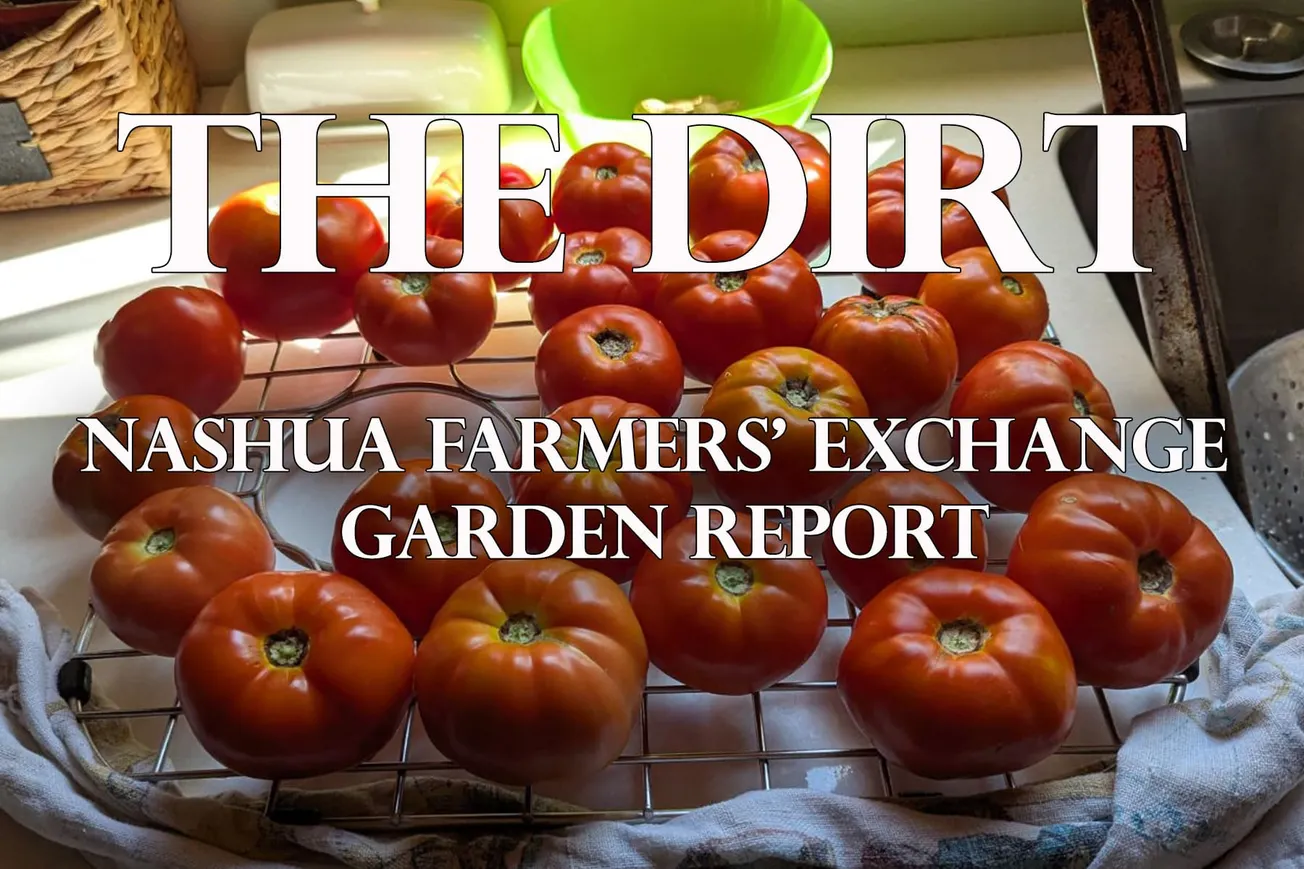 No Rest for The Gardener: Late Summer To-Do List