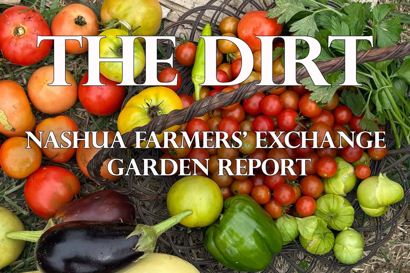 September: A Time for Harvesting & Spring Scheming