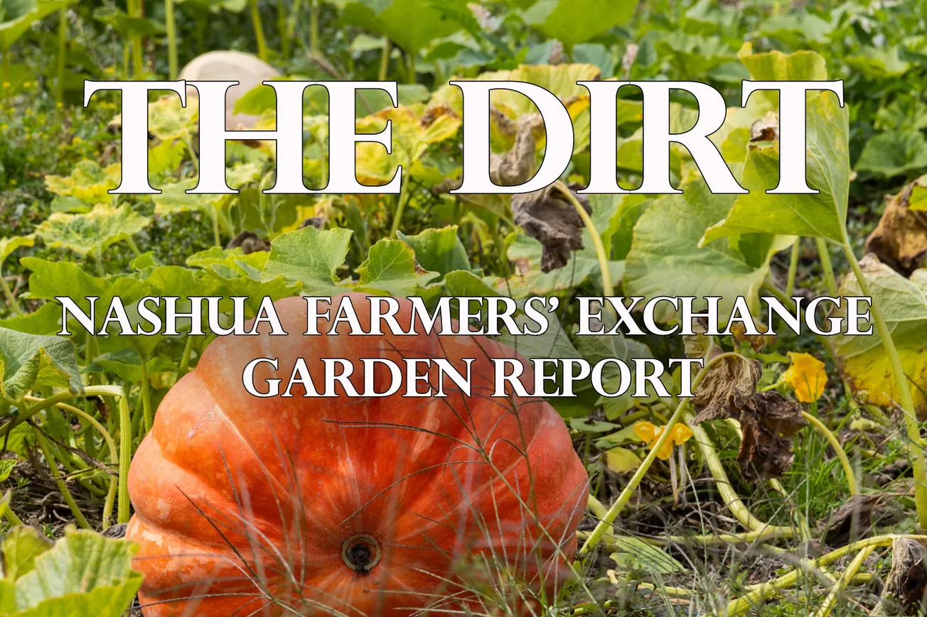 Batten Down the Hatches! Fall is Here!
