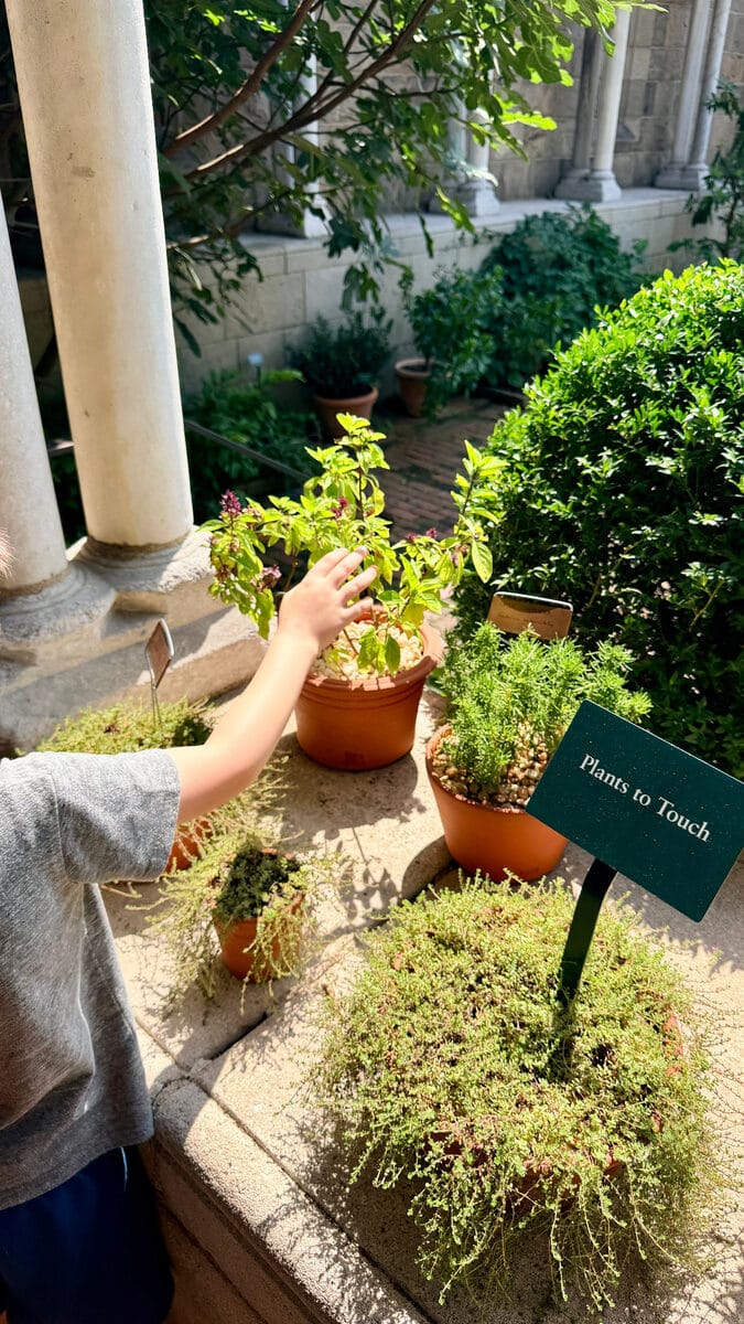 A child exploring the touch garden at The Cloisters