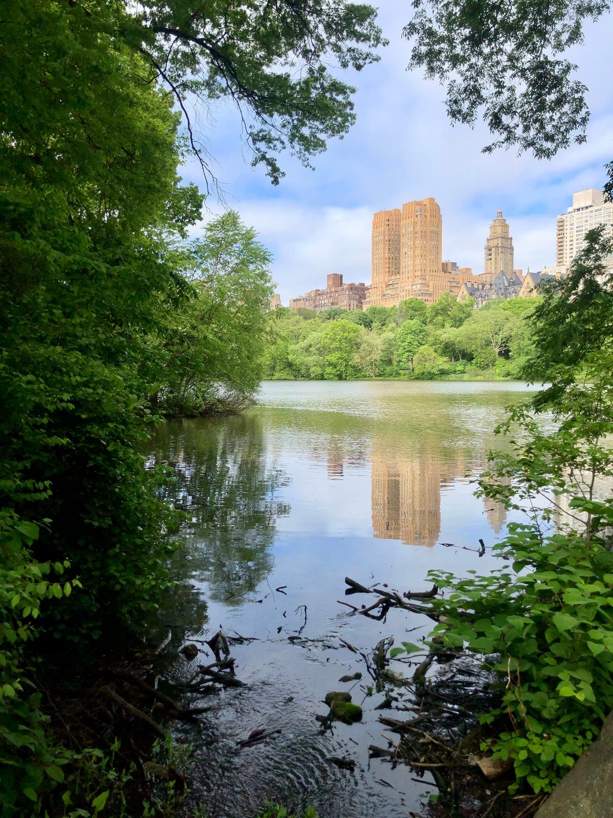 Central Park, NYC