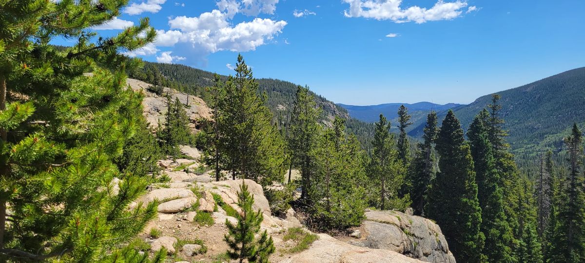 Journal of a Job Hopper