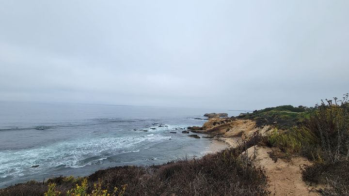 Paddling with Purpose