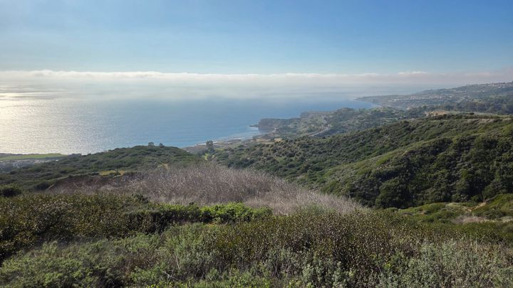 Encapsulating Kanan: 30 for My 30th