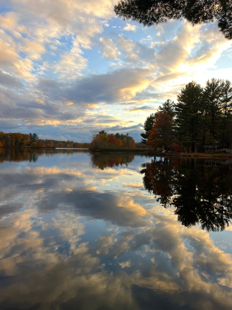 Why Trilobite Polka Review?