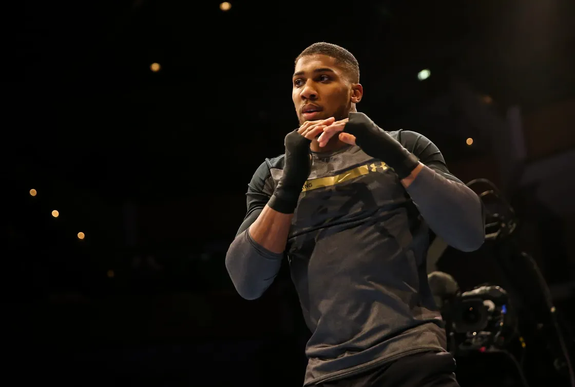 Combat Perspective: Joshua's Discipline and Heavyweight Rise