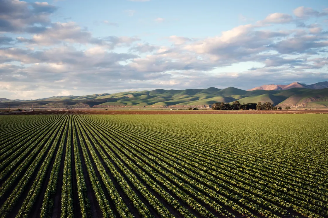 U.S. Agriculture — How the USDA Is Strengthening Food and National Security