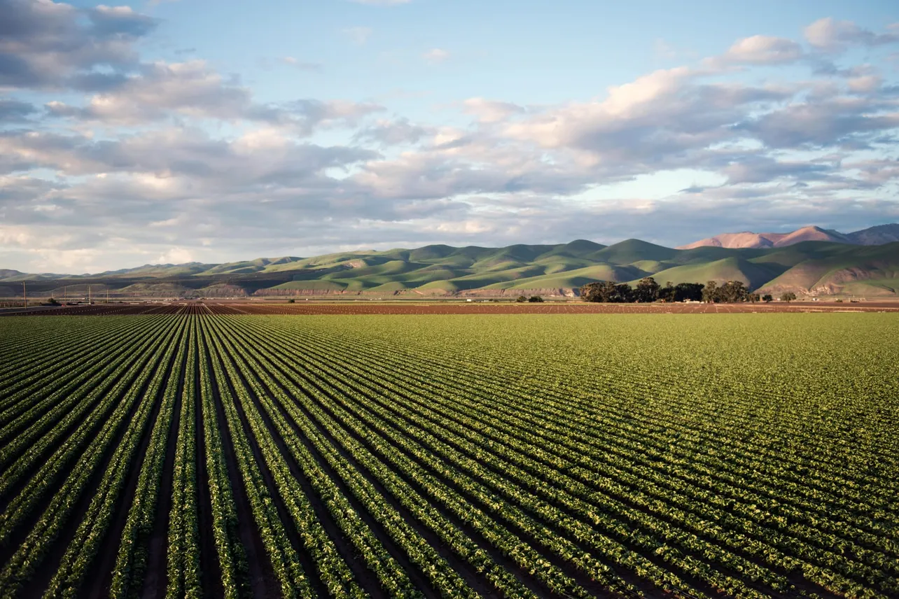 U.S. Agriculture — How the USDA Is Strengthening Food and National Security