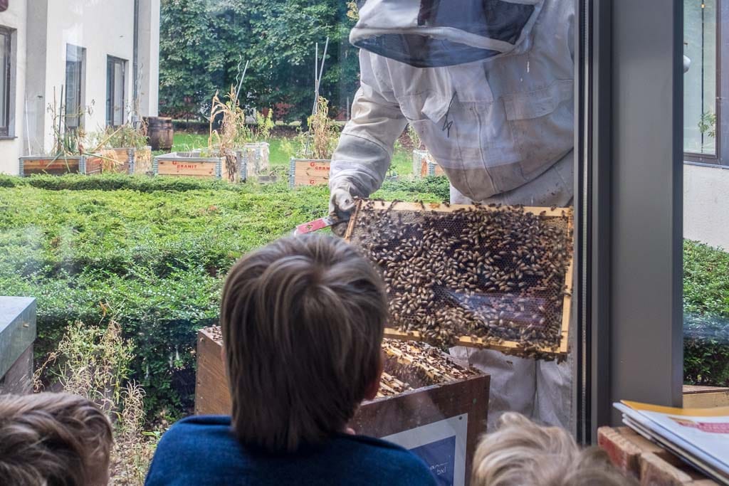 Beehives and Sustainability in Coworking Spaces