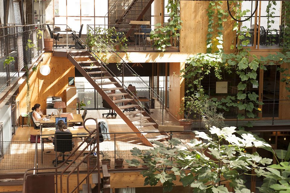 How Are Coworking Spaces Driving Environmental Change? Practical Insights from Nest City Lab.
