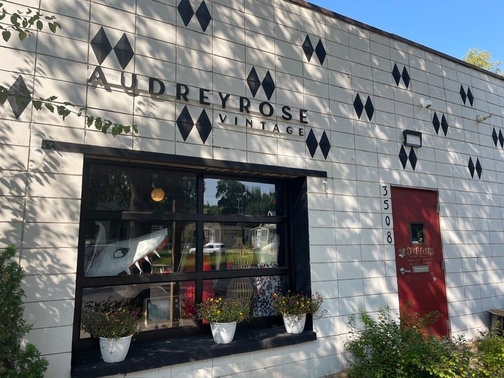 👗 Audrey Rose Vintage brings retail flair to sleepy Snelling Ave
