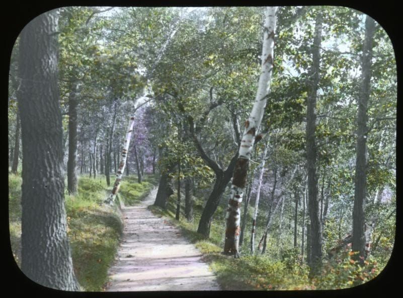 🍂 Some old-timey photos of the Winchell Trail