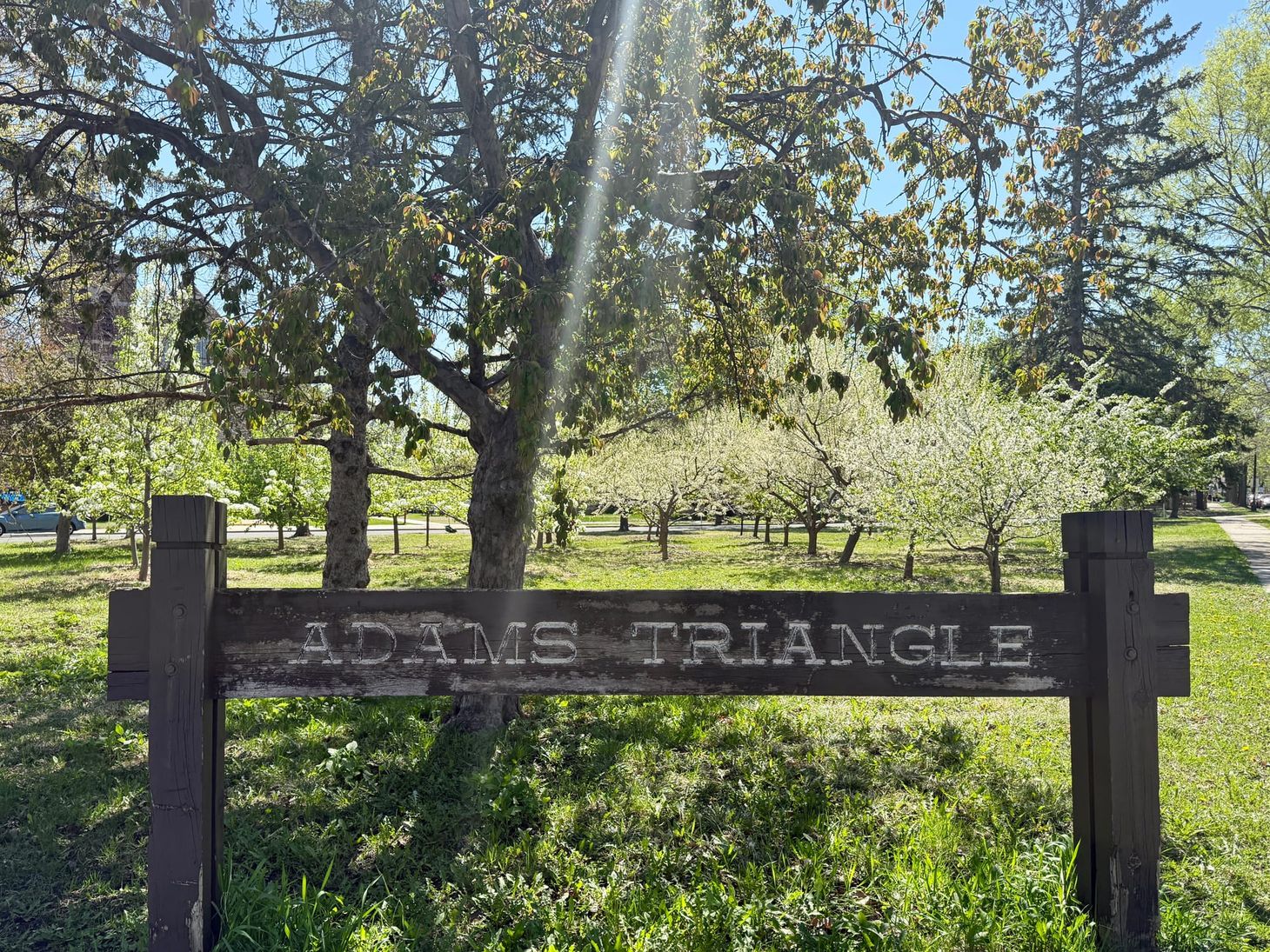 🍑 It's almost harvest season at the Adams Triangle orchard