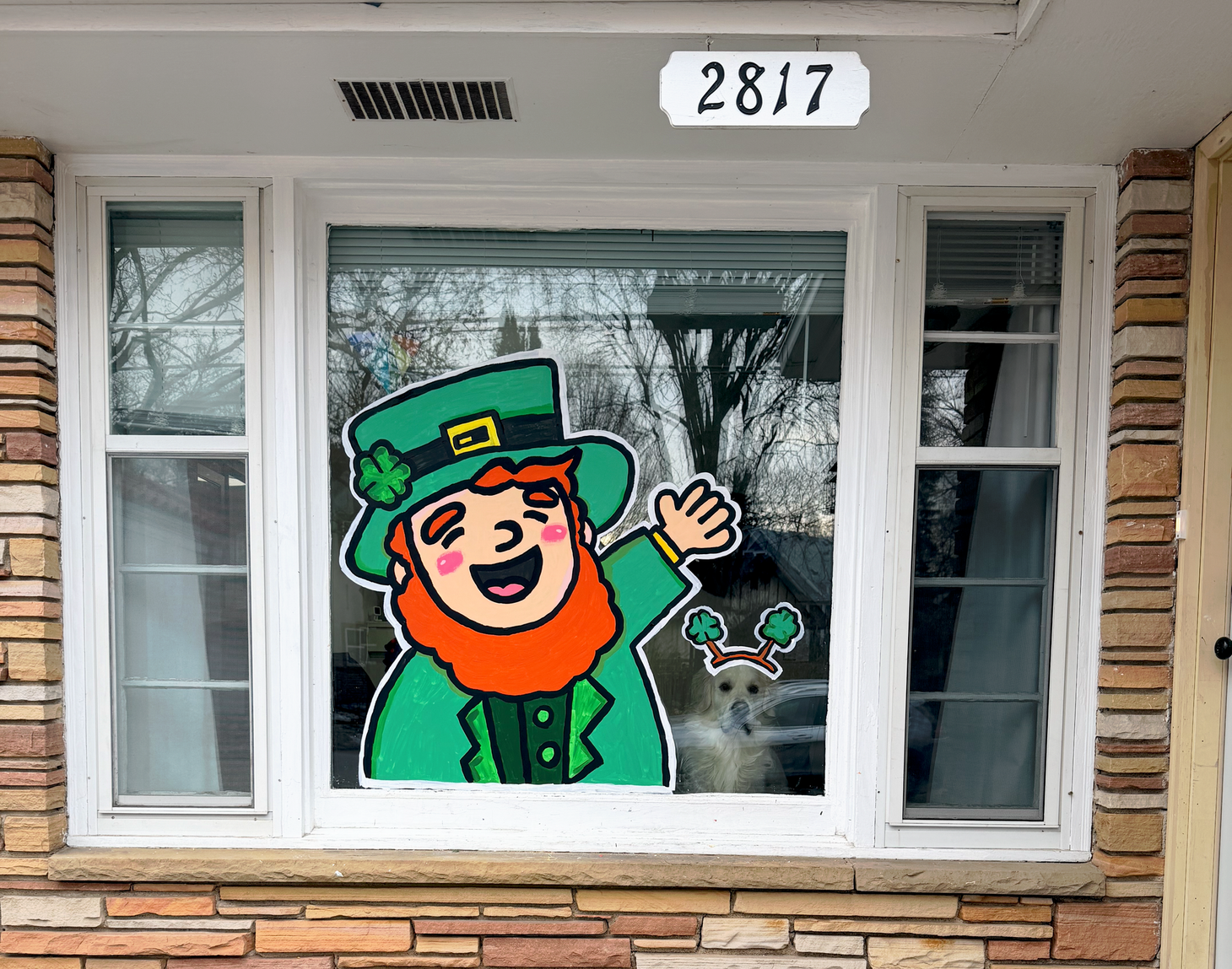 🍀 Mid-March miscellanea