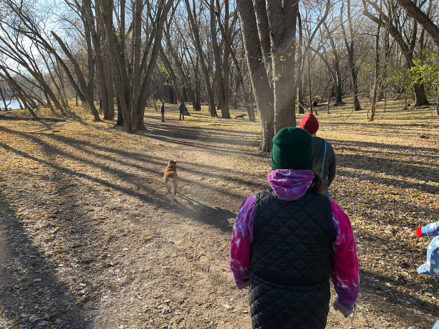 🐾 Mid-June rundown: Plan to decommission Minnehaha Dog Park gaining momentum