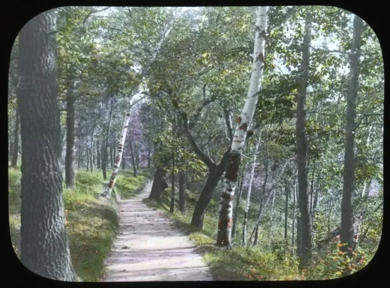 🍂 Some old-timey photos of the Winchell Trail