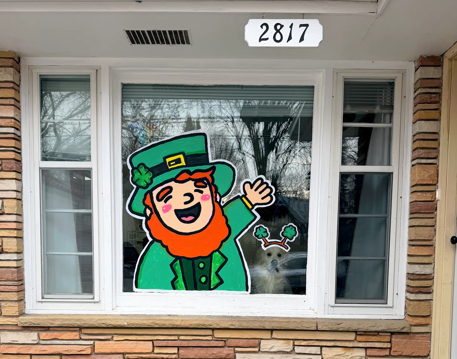 🍀 Mid-March miscellanea