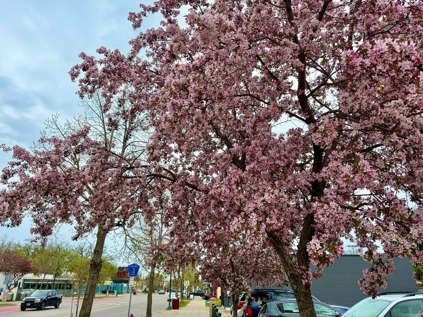 🌸 April miscellanea