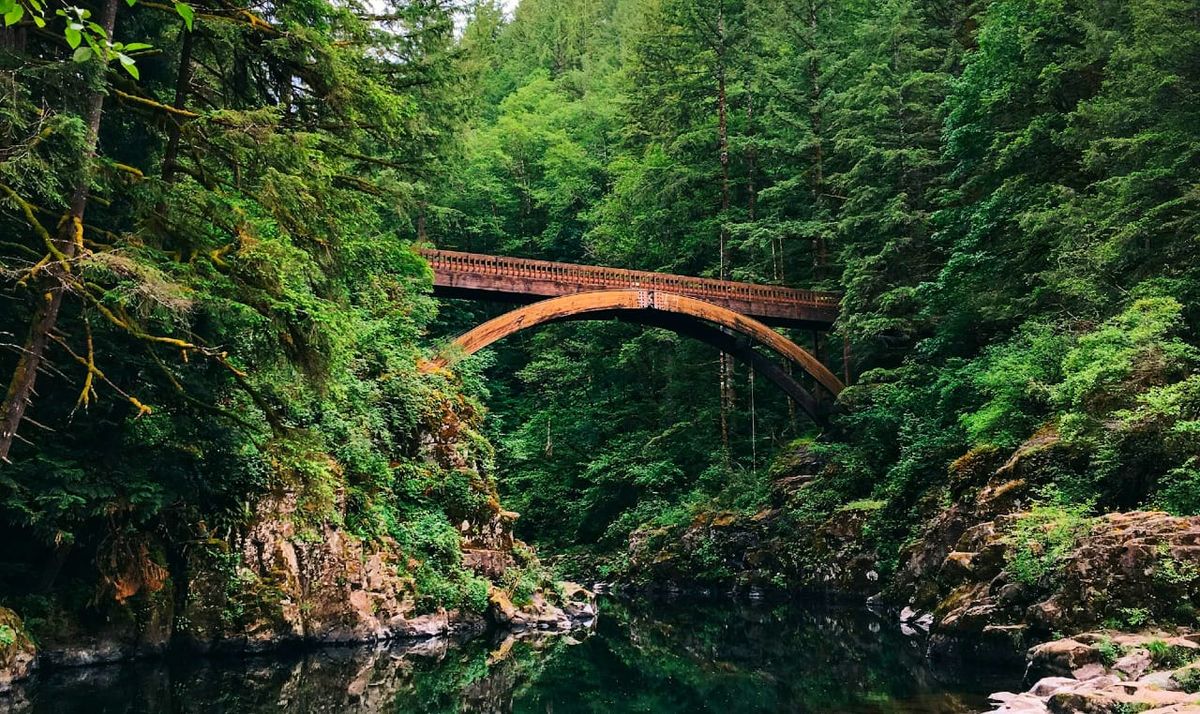 a bridge in mouton falls regional park.