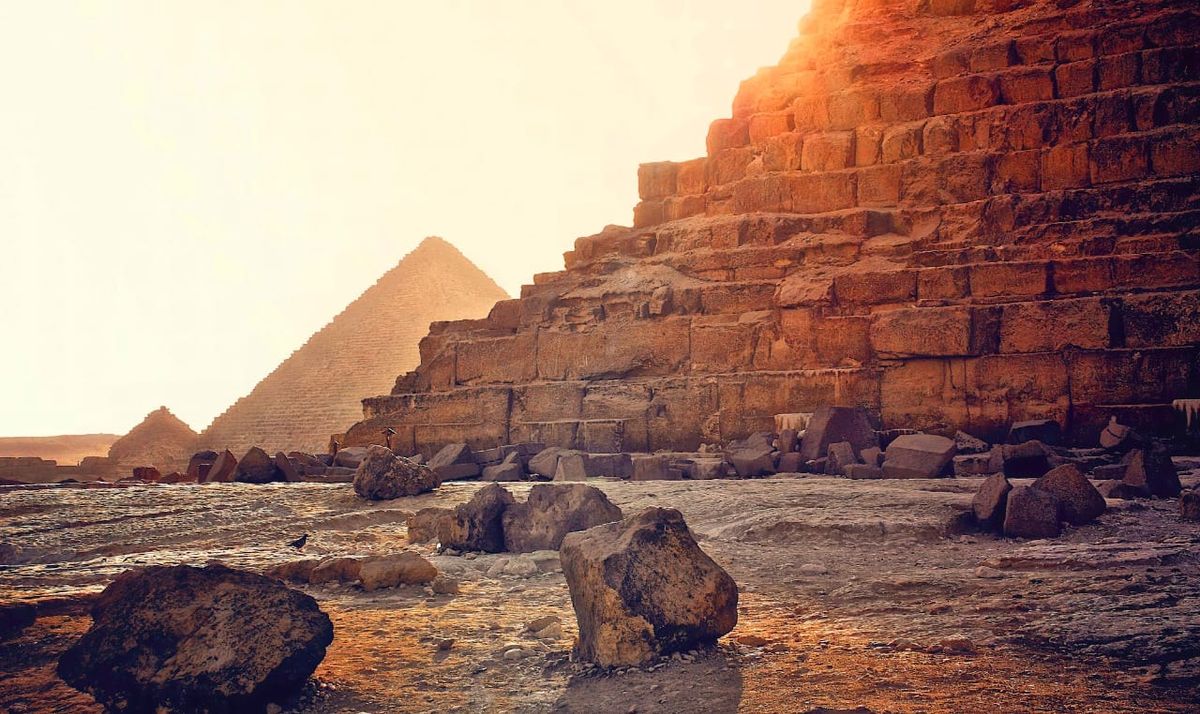 hierarchy and the tyranny of leaders