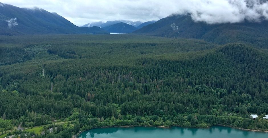 view from a mountain overlooking a valley of trees