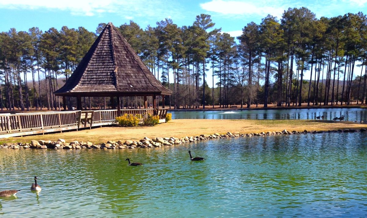 a gazebo on a little peninsula with ducks floating nearby