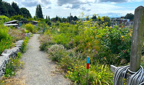 the upper entrance to the beacon food forest in seattle.