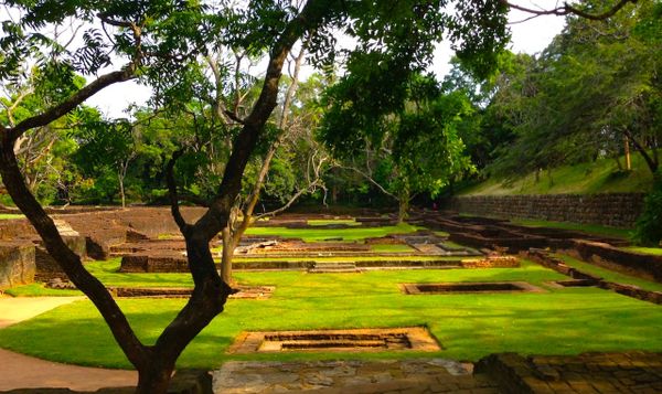 Future Emergent, year 3