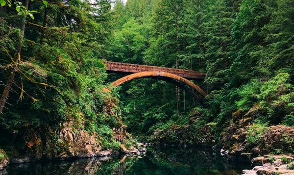 a bridge in mouton falls regional park.