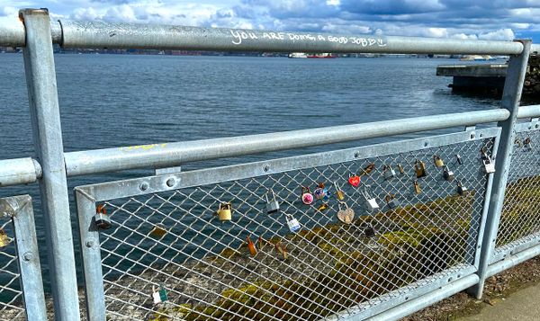 a chain link fence along the waterfront overlooking the puget sound. on a handrail someone has written "you're doing a good j