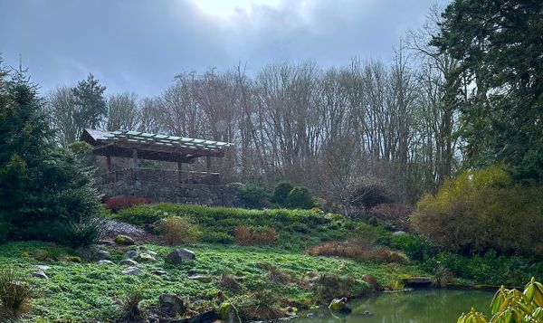 looking up towards a terrace in Kubota Garden a Japanese-style garden in Seattle. it's sunny and rainy and everything is aliv