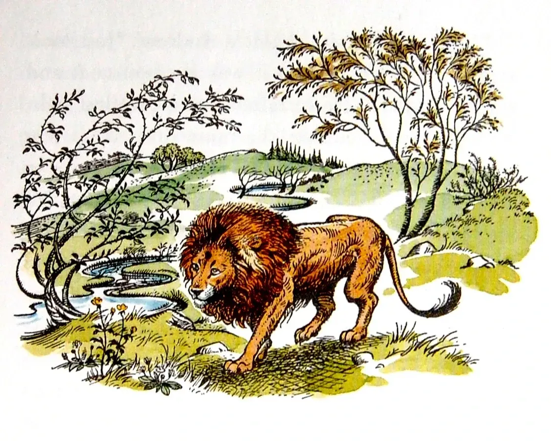 Why Aslan Must Be Male