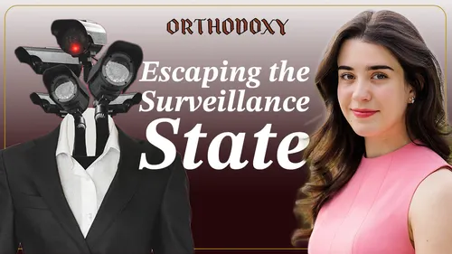 Rebeka Zeljko | How To Survive The Surveillance State
