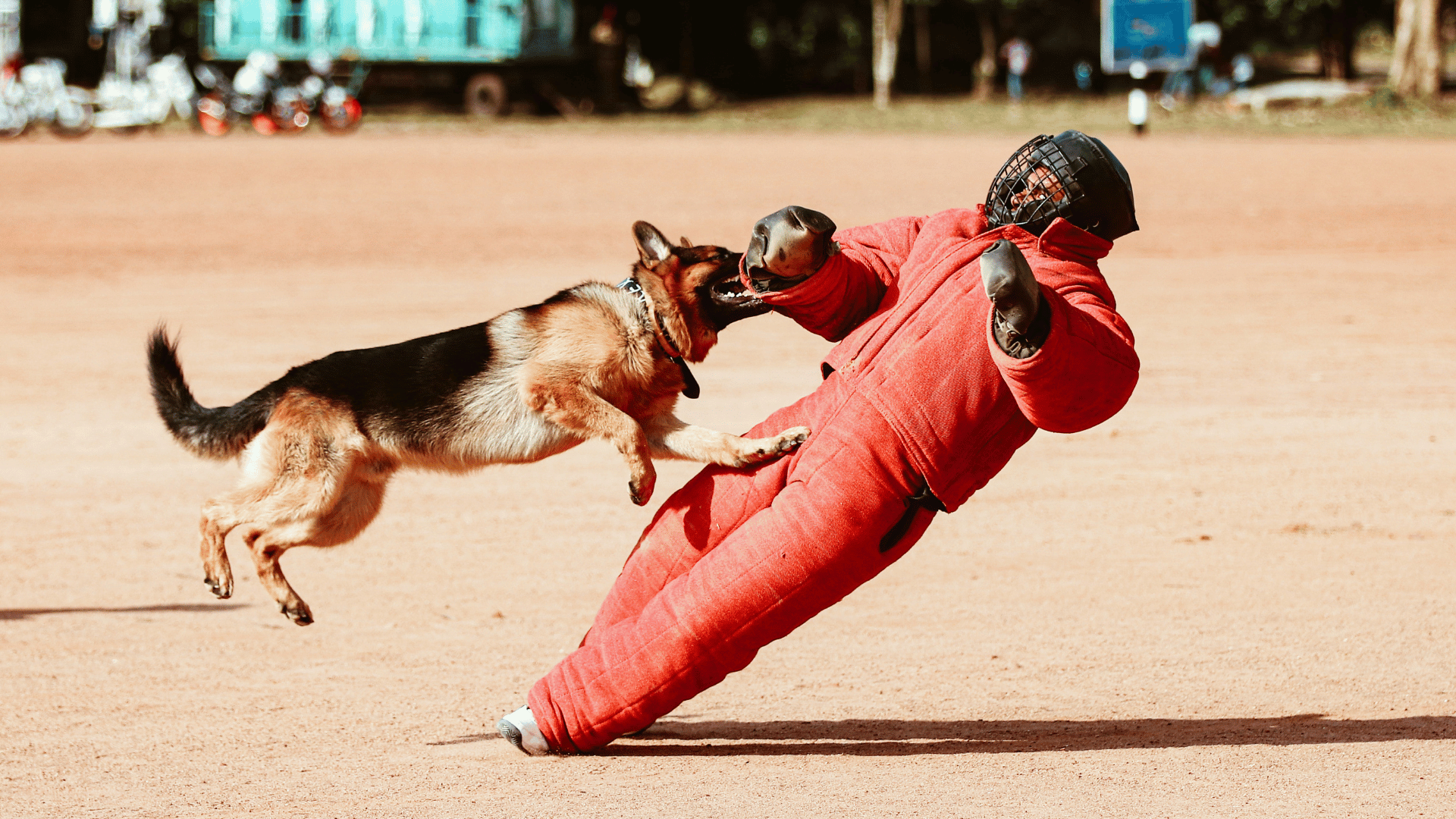 Bite Pillow For Dogs