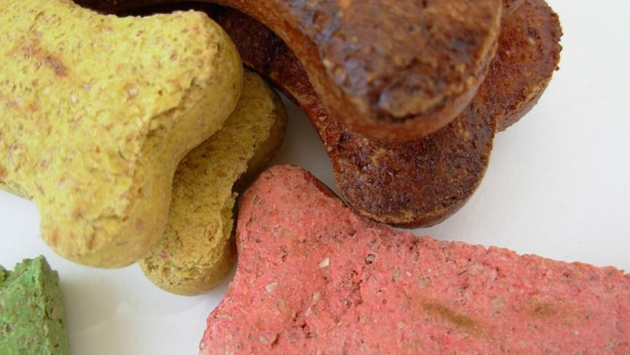 Freeze Dried Dog Treats