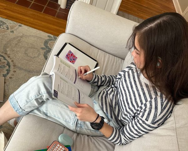 Homeschool or Traditional?