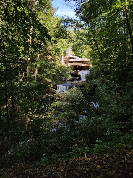 The Fallingwater house through a clearing of trees