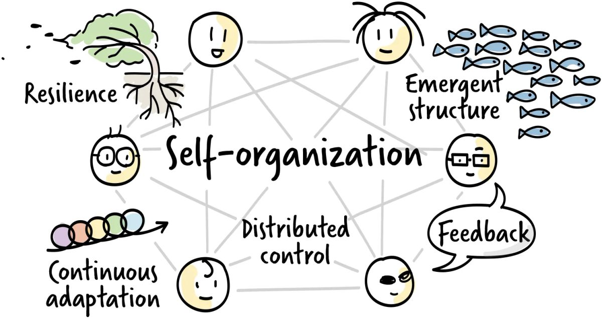 Self-organization graphic including Resilience, Emergent Structure, Feedback, Distributed Control, Continuous Adaptation