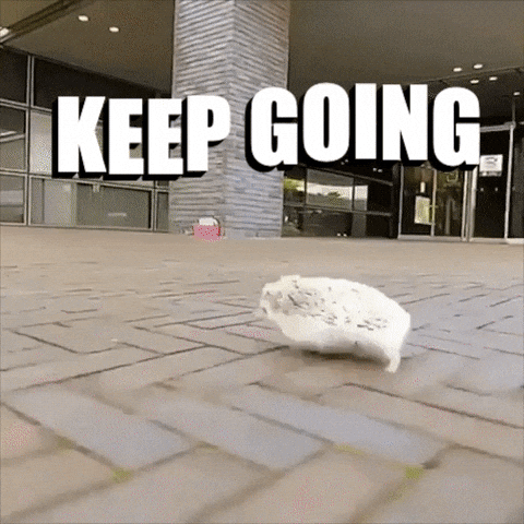 a white hedgehog running across a patio with the words Keep Going 