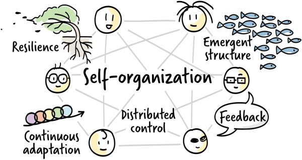 Self-organization graphic including Resilience, Emergent Structure, Feedback, Distributed Control, Continuous Adaptation