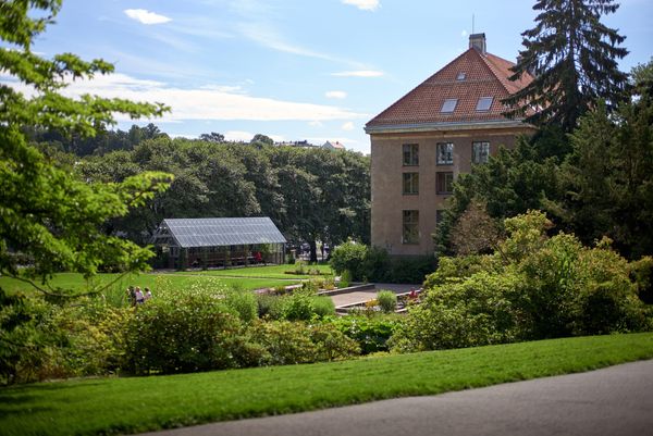 Grensen mellom generelle og spesifikke forbehold