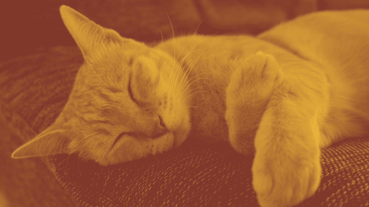 One, two, three, snooze