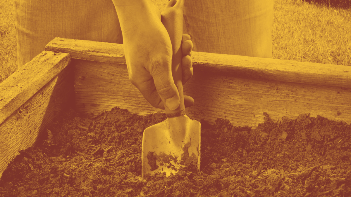 Digging in the dirt