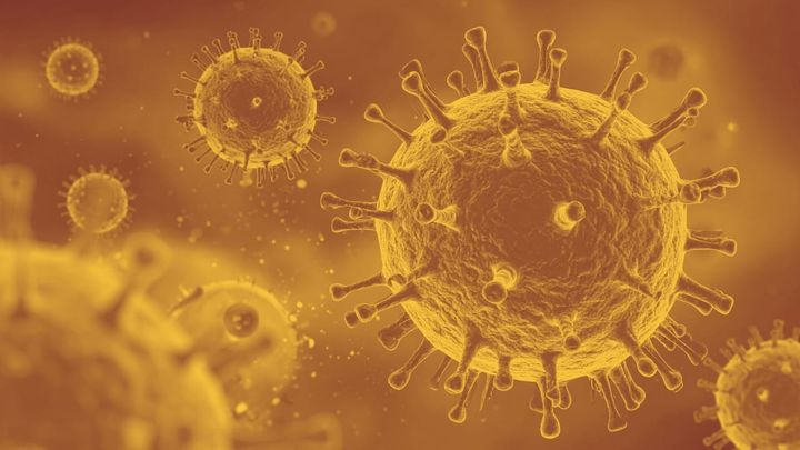 An extremely blown-up photo of some very spiky scary-looking germs.
