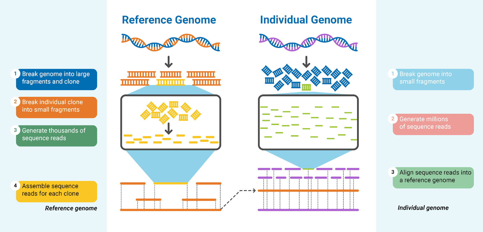 Genome India | UPSC