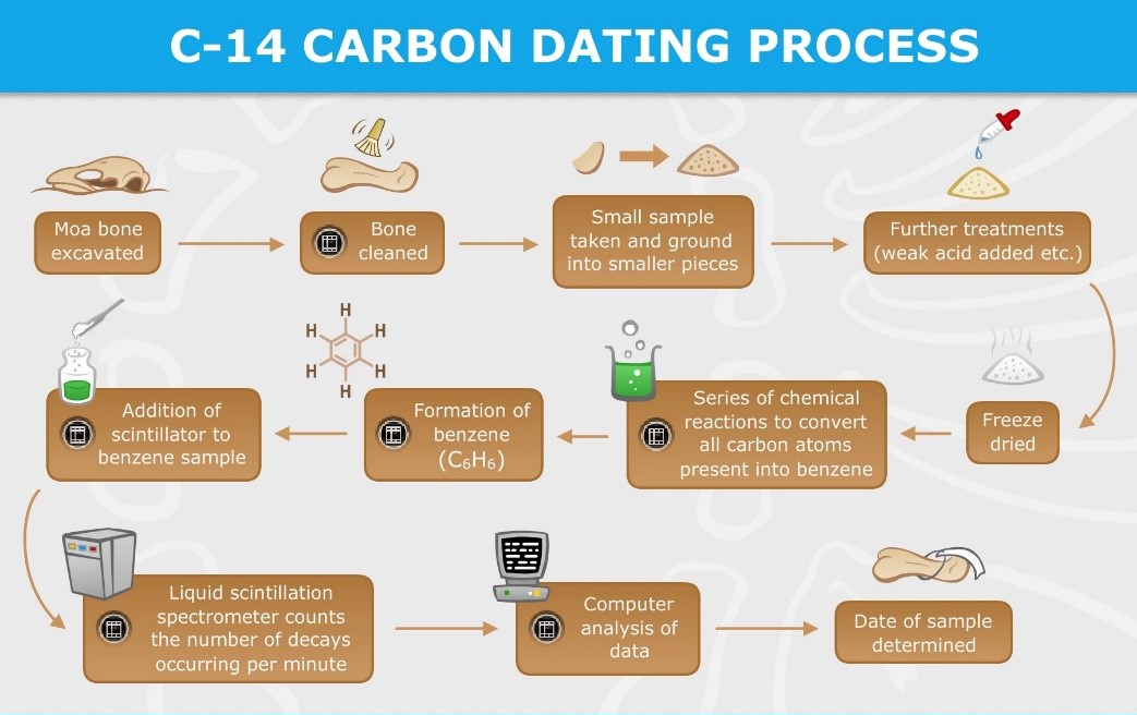 Radiometric Dating&nbsp; | UPSC